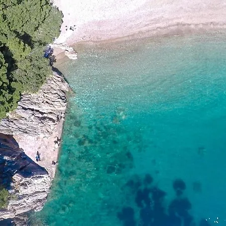 Ancora 1 *